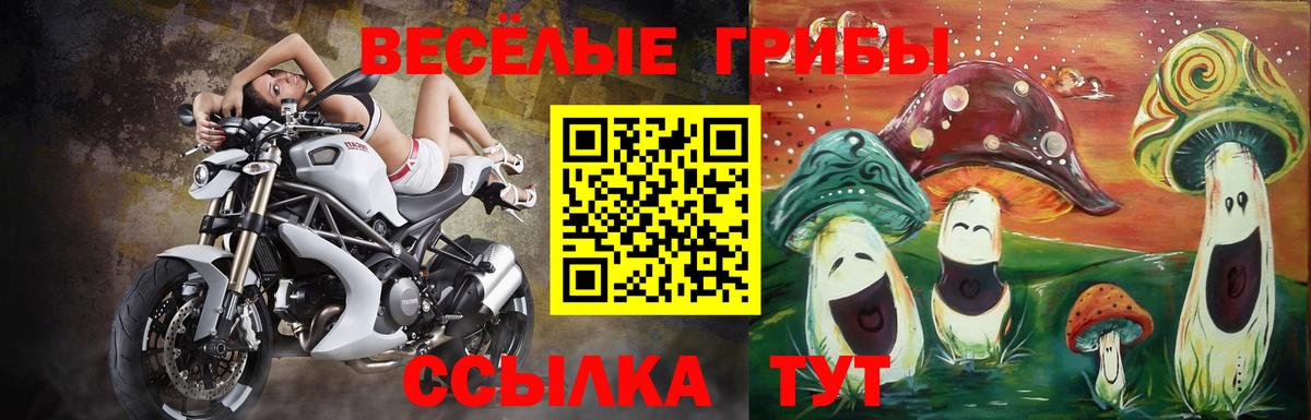 Галлюциногенные грибы прущие грибы  Вход с VPN  Псилоцибиновые грибы Psilocybe  Красноуфимск 